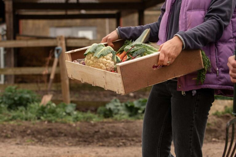 Nace Sustentta, un programa de apoyo dirigido a cooperativas agroalimentarias en la transición hacia prácticas de producción más sostenibles