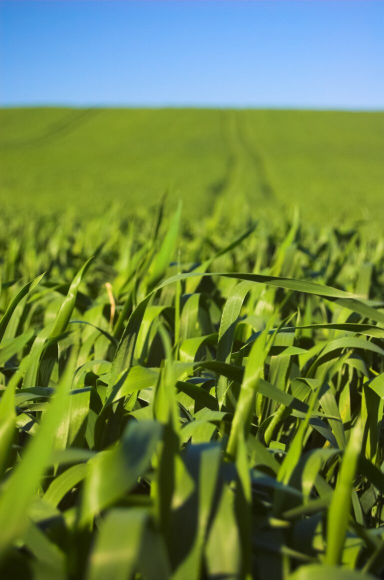 Sustentta participa en el IX Congreso de Cooperativas Agro-alimentarias de España
