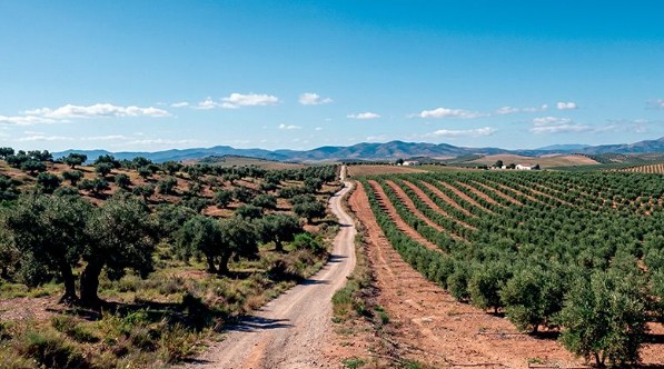 Dos agriculturas, las dos necesarias. La producción de alimentos ante el reto de la sostenibilidad global