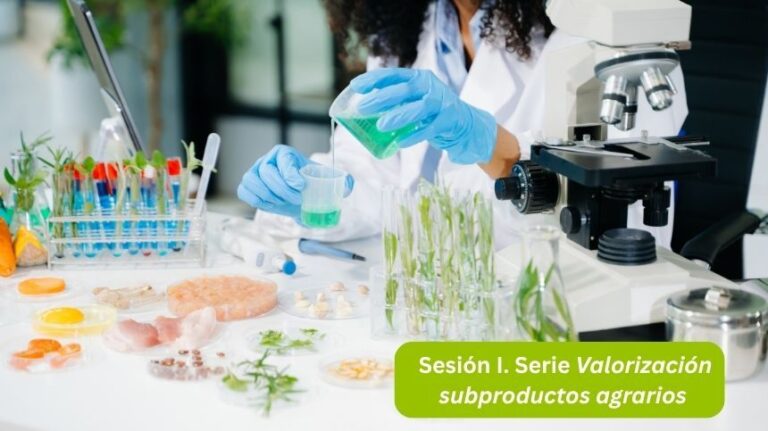Del “residuo” al recurso: Oportunidades estratégicas en la economía circular agroalimentaria
