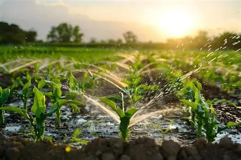 Sesión formativa 5: Manejos sostenibles del agua en agricultura