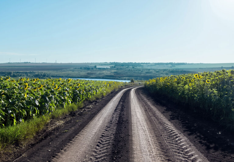 Cooperativas agroalimentarias: una palanca estratégica con potencial para liderar la transición climática