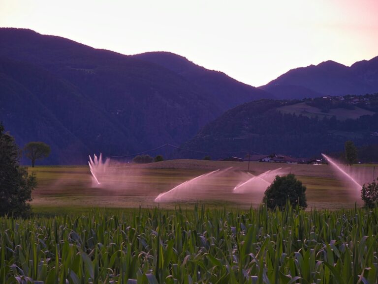 El manejo sostenible del agua en el sector agrícola